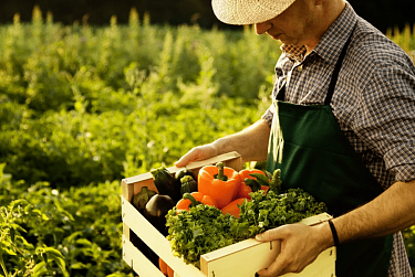 11 июня – День фермера Оренбургской области